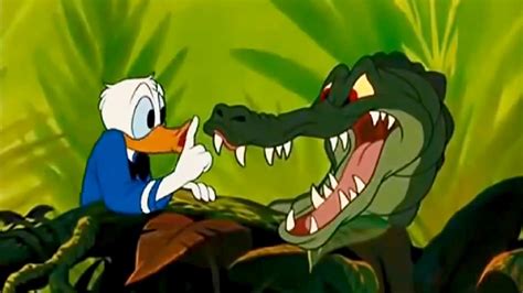 donald duck youtube|donald duck all cartoons.